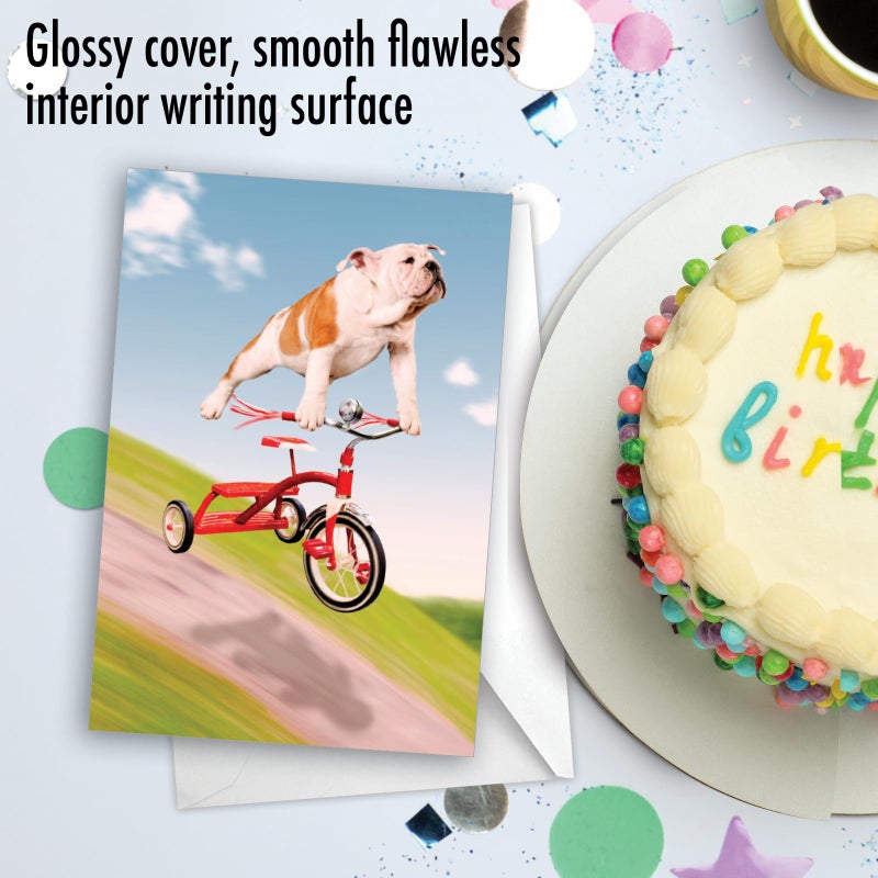 NobleWorks - 1 Adorable Birthday Card Funny - Pet Dog Animal Humor, Bday Notecard with Envelope - Dog on Trike C3204BDG - Image 5